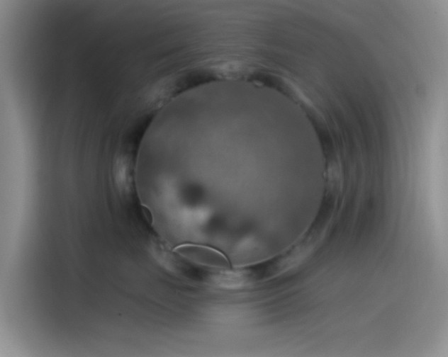 X0000115490671200911131237
