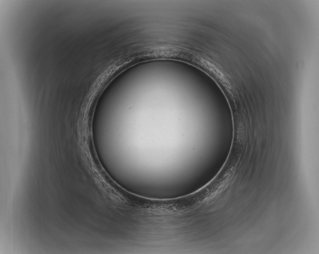 X0000115490673200911131236
