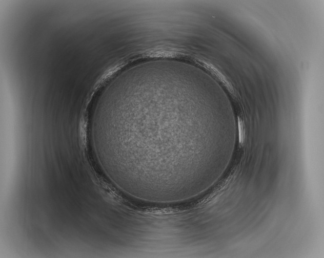 X0000115490675200911131236