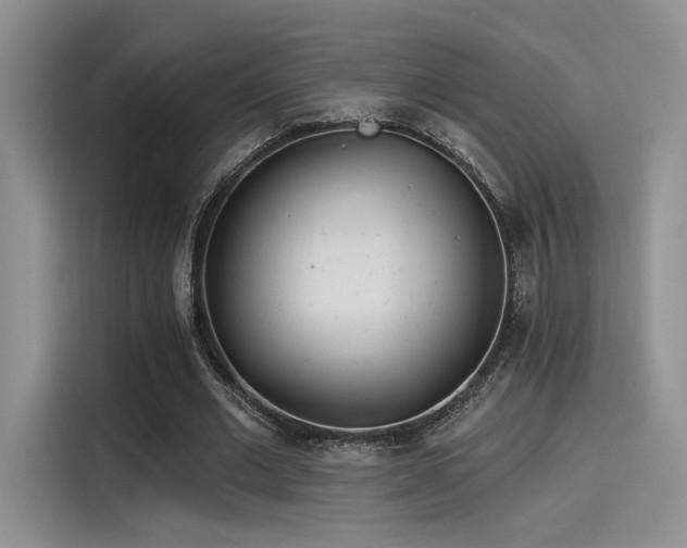 X0000115490677200911131236
