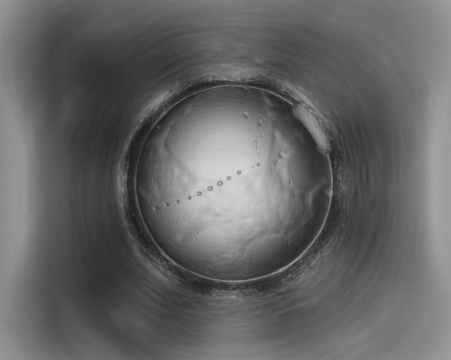 X0000115490679200911131236