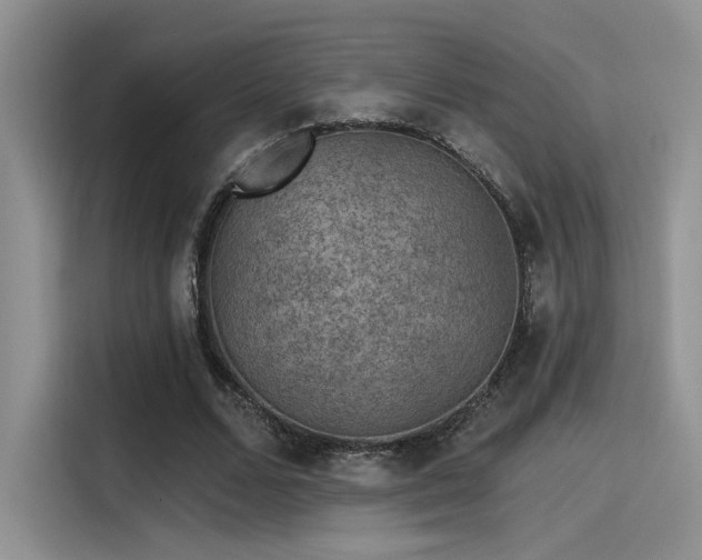 X0000115490680200911131236
