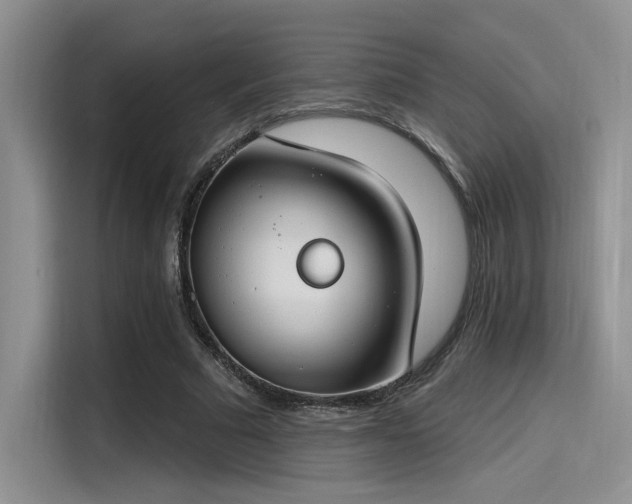 X0000115490681200911131236