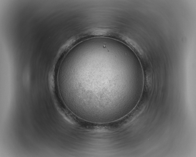 X0000115490682200911131236