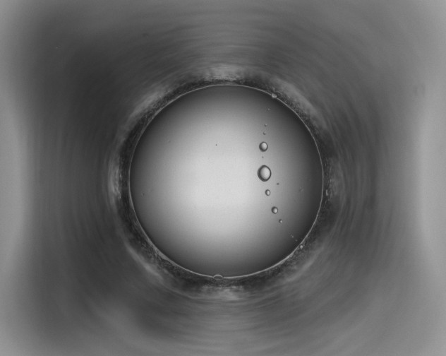 X0000115490683200911131236
