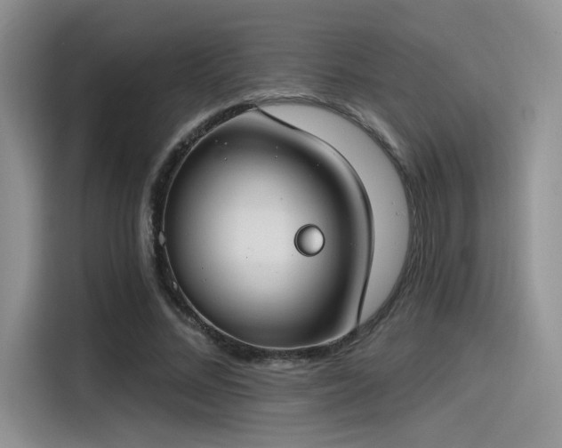X0000115490684200911131236