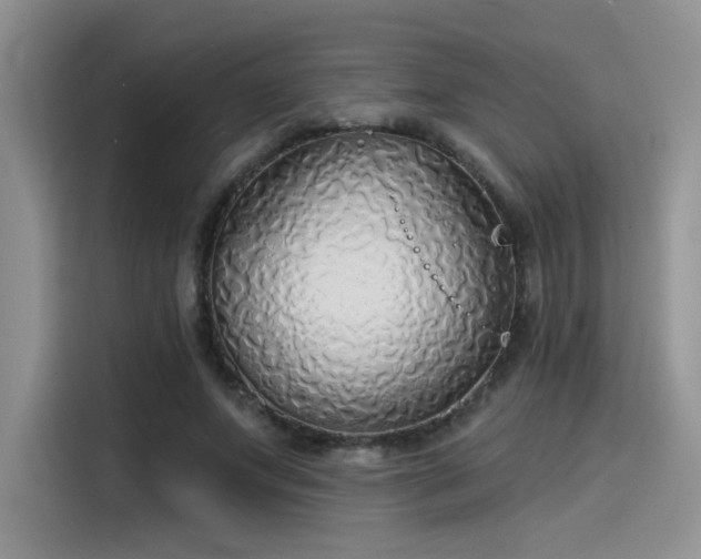 X0000115490687200911131236