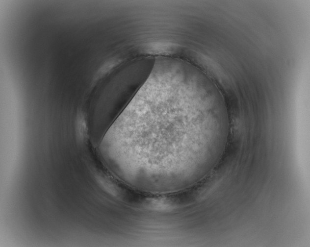 X0000115490688200911131236