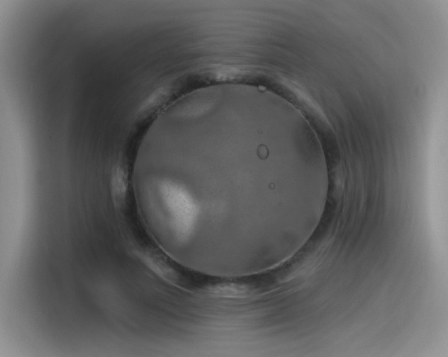 X0000115490691200911131236