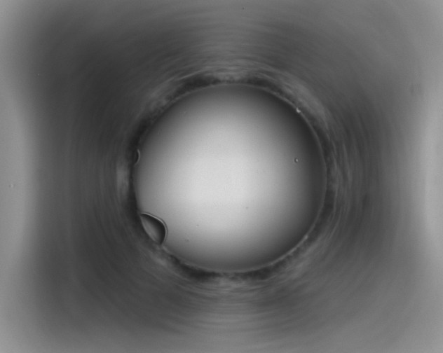 X0000115490697200911131236