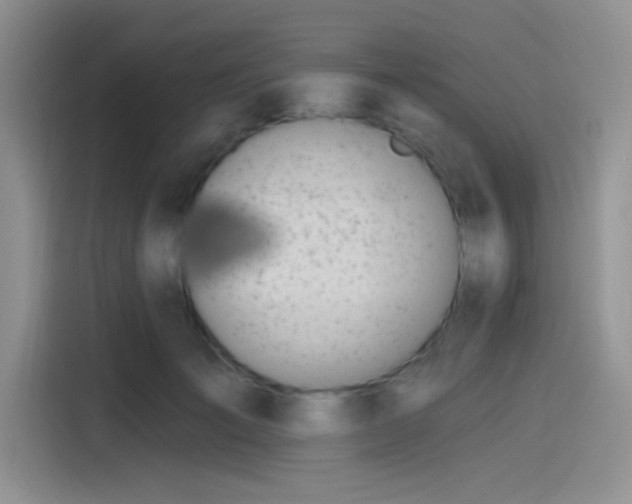 X0000115490701200911131236