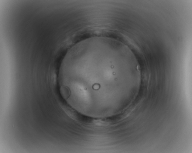 X0000115490703200911131236
