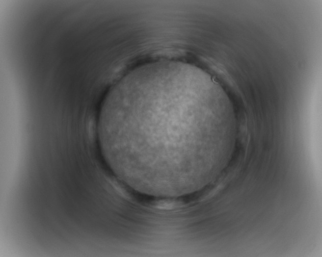 X0000115490708200911131235