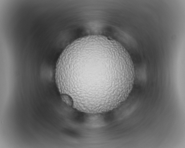 X0000115490709200911131235
