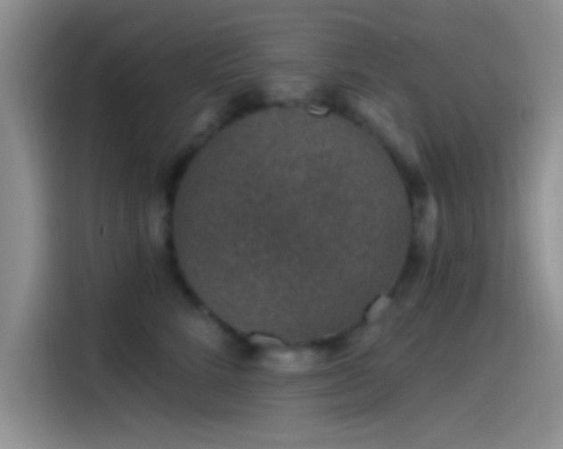 X0000115490712200911131235