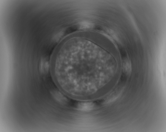 X0000115490716200911131235