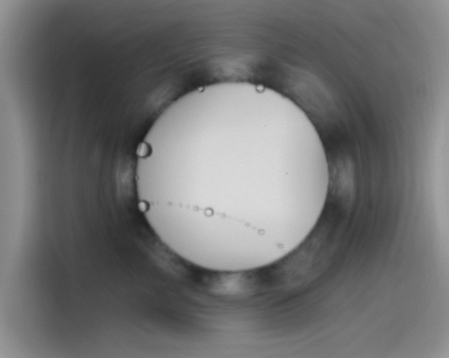 X0000115490717200911131235