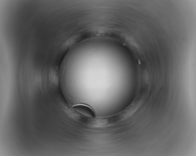X0000115490719200911131235