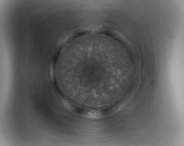 X0000115490720200911131235