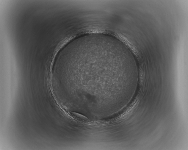 X0000115490721200911131235