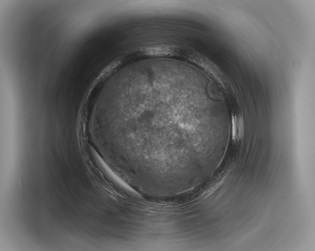 X0000115490723200911131235