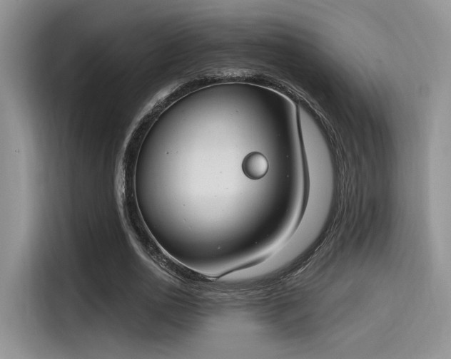 X0000115490726200911131235