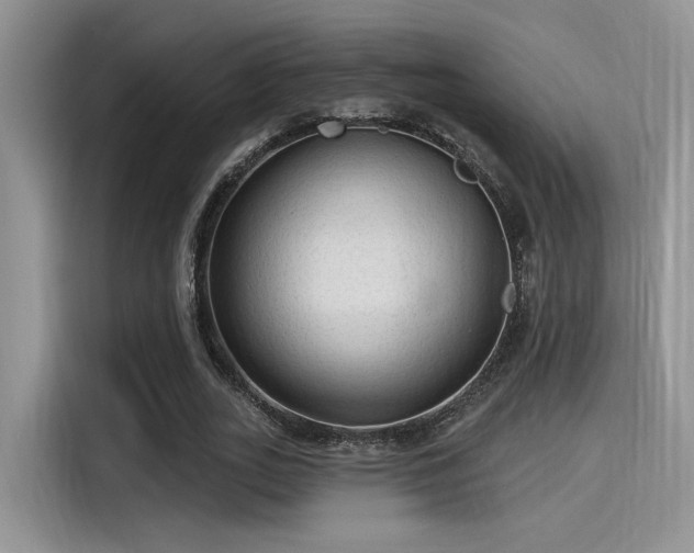 X0000115490727200911131235