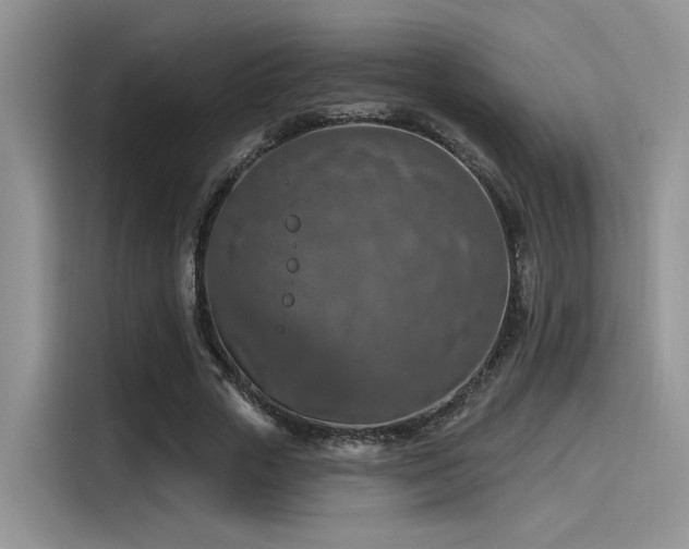 X0000115490729200911131235