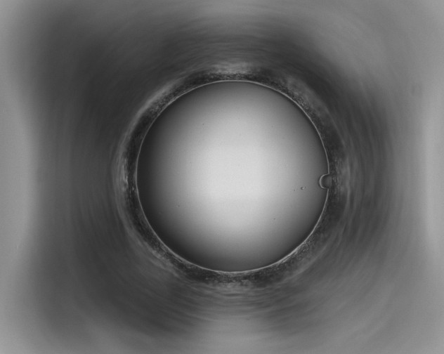 X0000115490731200911131235