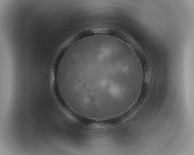 X0000115490733200911131235