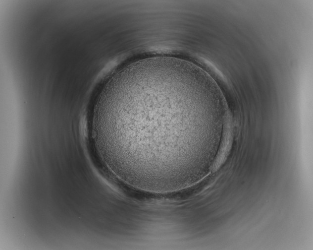 X0000115490734200911131235