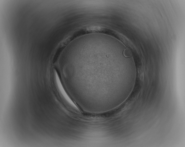X0000115490735200911131235