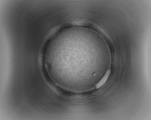 X0000115490738200911131235