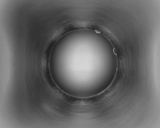 X0000115490739200911131235