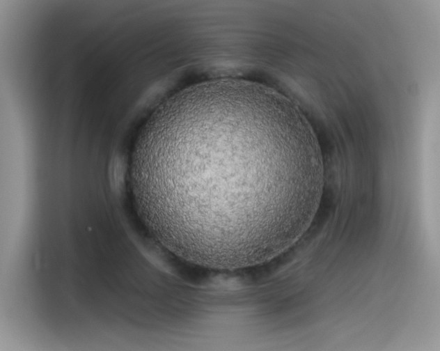 X0000115490742200911131235
