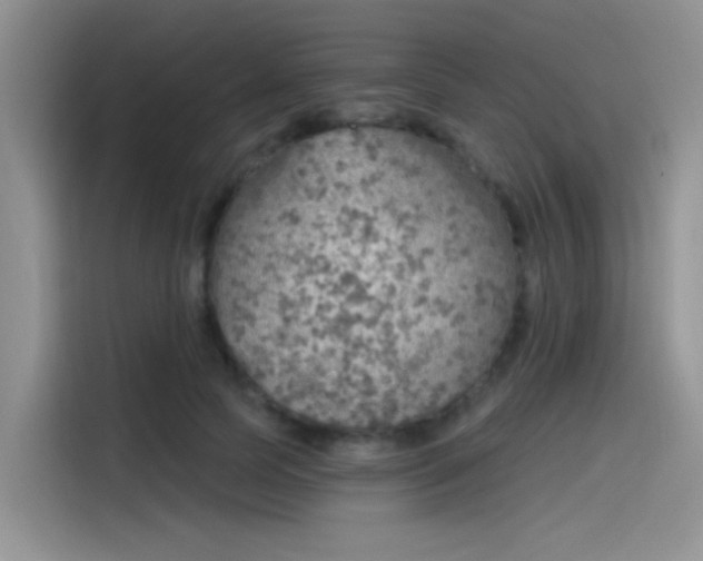X0000115490745200911131235