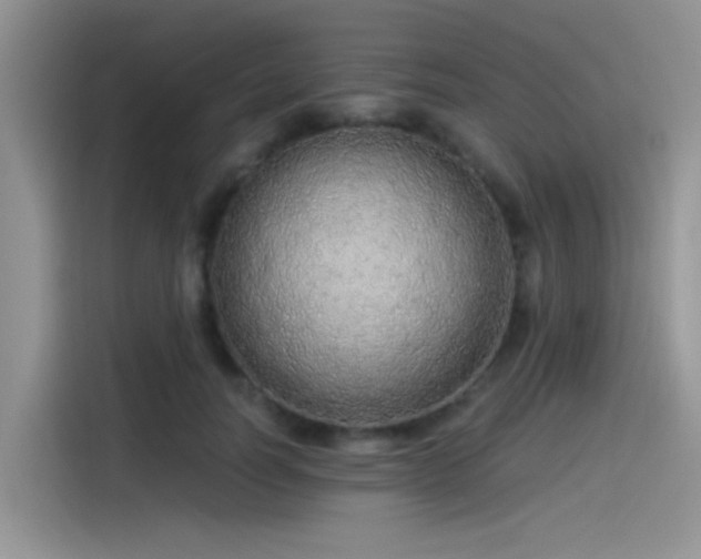 X0000115490746200911131235