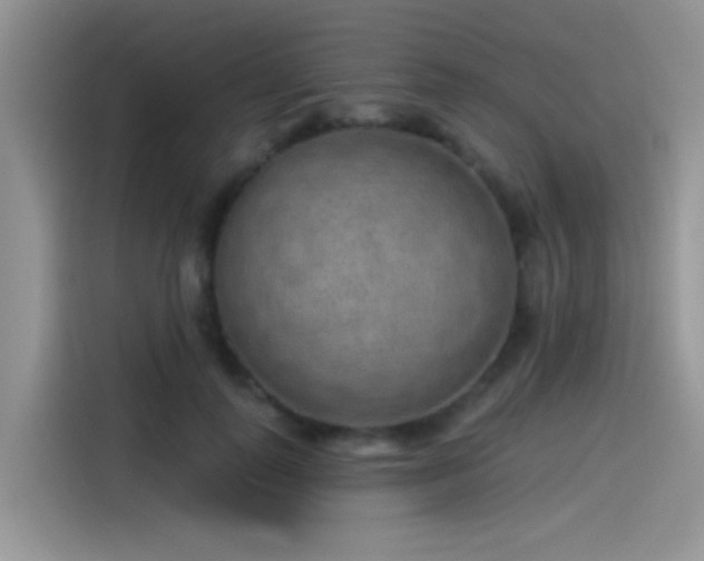 X0000115490747200911131235