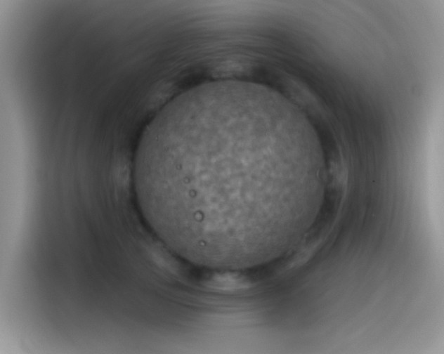 X0000115490753200911131235