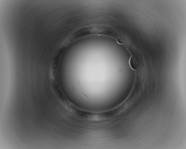 X0000115490755200911131235