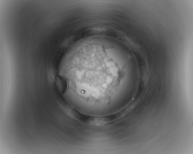 X0000115490758200911131235