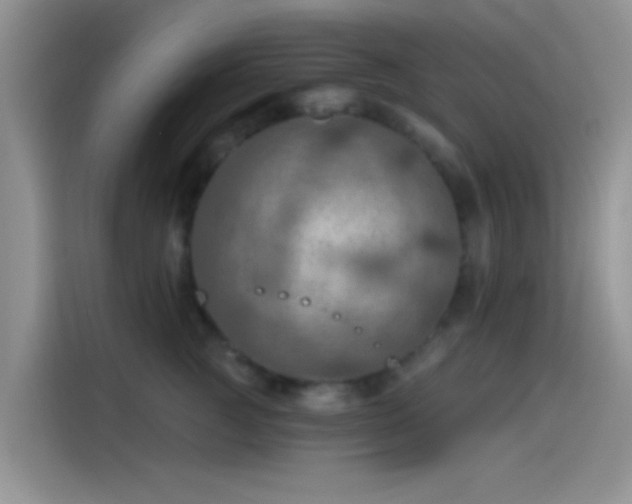 X0000115490761200911131235