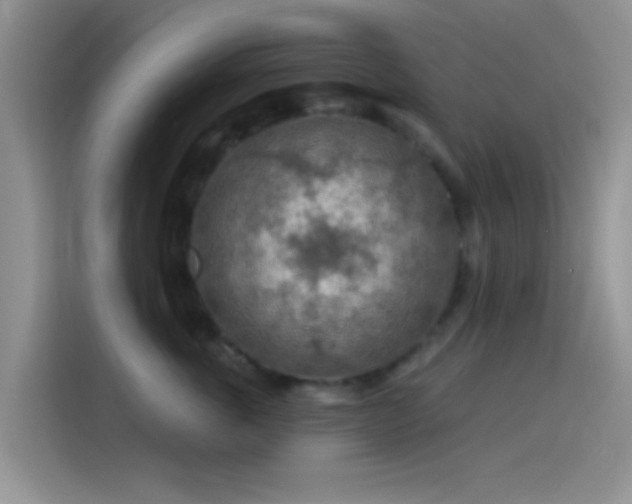 X0000115490763200911131235