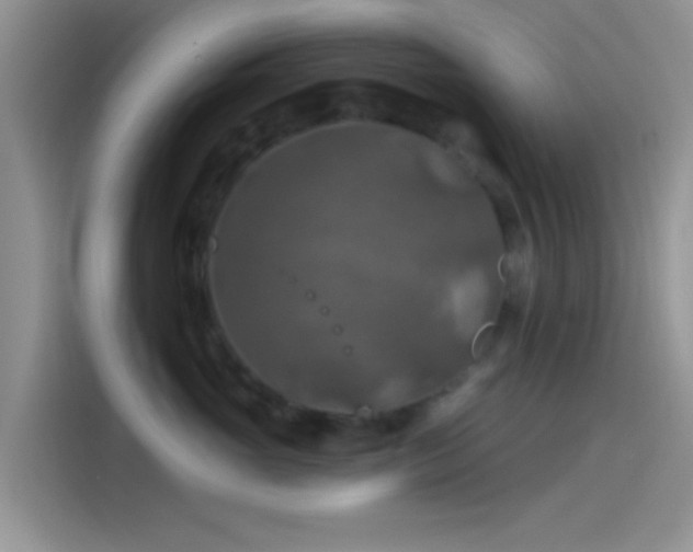 X0000115490765200911131235