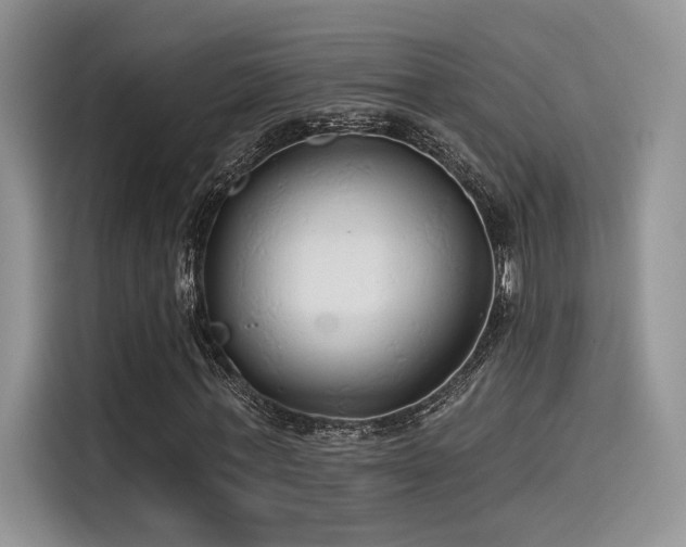 X0000115490771200911131235