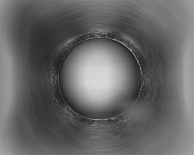 X0000115490773200911131235