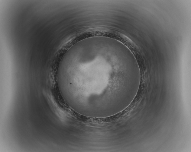 X0000115490774200911131235