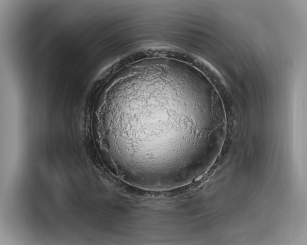 X0000115490775200911131235