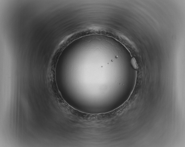 X0000115490776200911131235