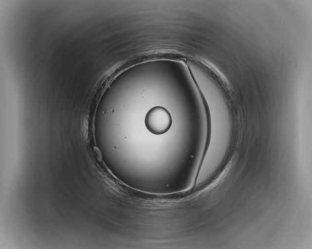 X0000115490777200911131235